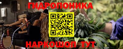 молекула духа Волжский