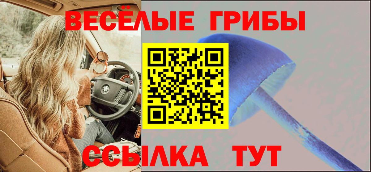 Борзя  Псилоцибиновые грибы мицелий  Вход с VPN  Галлюциногенные грибы Psilocybe 